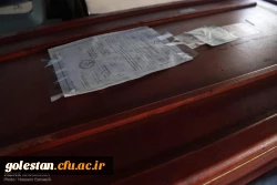 تصاویر/ مراسم استقبال از شهدای فاجعه ی منا 4