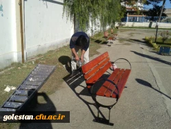 تصاویری از عملیات نصب میزو صندلی در محوطه ی دانشگاه 4