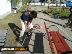 تصاویری از عملیات نصب میزو صندلی در محوطه ی دانشگاه 9