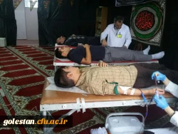 اهدای بیش از یکصد واحد خون توسط اساتید، کارکنان و دانشجویان پردیس آیت الله خامنه ای 2