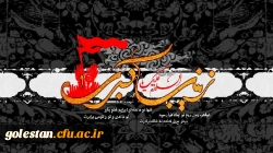 وفات حضرت زینب (س) تسلیت باد