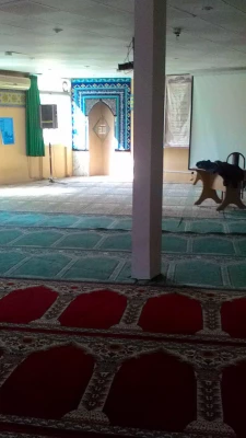 نظارت بر خدمات کمی و کیفی ارائه شده به دانشجو- معلمان