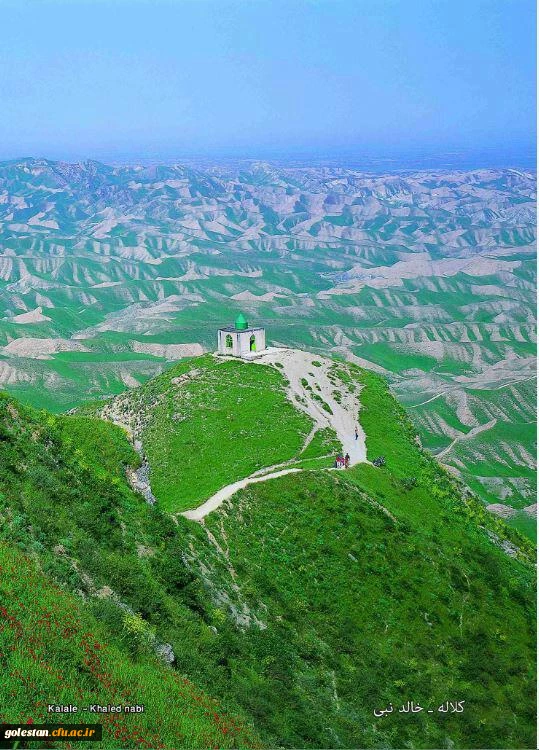 بقعه خالدنبی