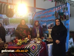 حضور سرپرست دانشگاه  فرهنگیان استان گلستان در مراسم  افتتاحیه نمایشگاه زن ، تلاش و توسعه 7