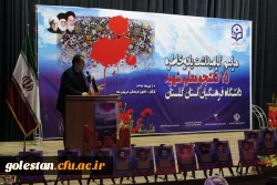 معاون وزیر: رسالت ما دربرابر شهدا حفظ استقلال، آزادی و وحدت کشور است. 14