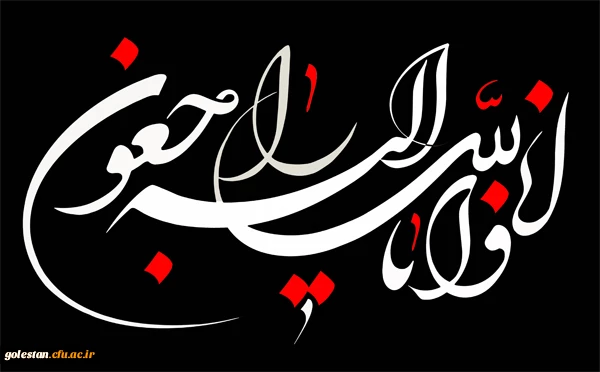 اظهار همدردی 2