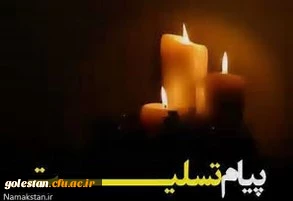 پیام تسلیت سرپرست دانشگاه برای فوت دریانوردان