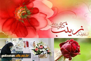 ولادت ستاره پرفروغ کوثر ، بانوی فصاحت و اعجاز
حضرت زینب علیها السلام مبارک باد