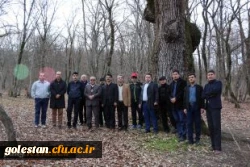 پیاده روی همگانی  و نرمش صبحگاهی کارکنان مدیریت استانی و پردیس آیت الله خامنه ای گرگان به مناسبت دهه فجر 9