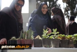 بازارچه دانشجویی اقوام پردیس امام خمینی(ره) با همت واحد فرهنگی برگزار شد. 2