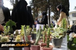 بازارچه دانشجویی اقوام پردیس امام خمینی(ره) با همت واحد فرهنگی برگزار شد. 2