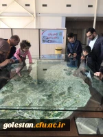 برگزاری اردوی فرهنگی -تفریحی اساتید و کارکنان دانشگاه فرهنگیان استان گلستان 13