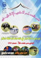دومین جشنواره ورزش های همگانی و بازی های بومی و محلی کشوری در تابستان 1397 2