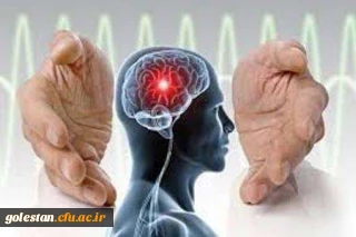 مسائل فرهنگی مهم ترین مانع پیشرفت درمان سکته مغزی در ایران