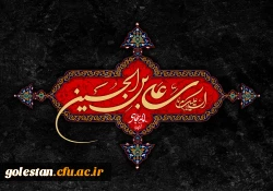 به مناسبت سالروز شهادت چهارمین امام شیعیان؛
نقش محوری امام سجاد(ع) در تبیین واقعه عاشورا 2