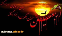 پیاده روی اربعین؛ همت مردمی در تکوین هویت شیعی 3