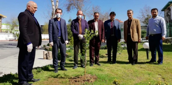 درختکاری را تنها در روز درختکاری خلاصه نکنیم 2