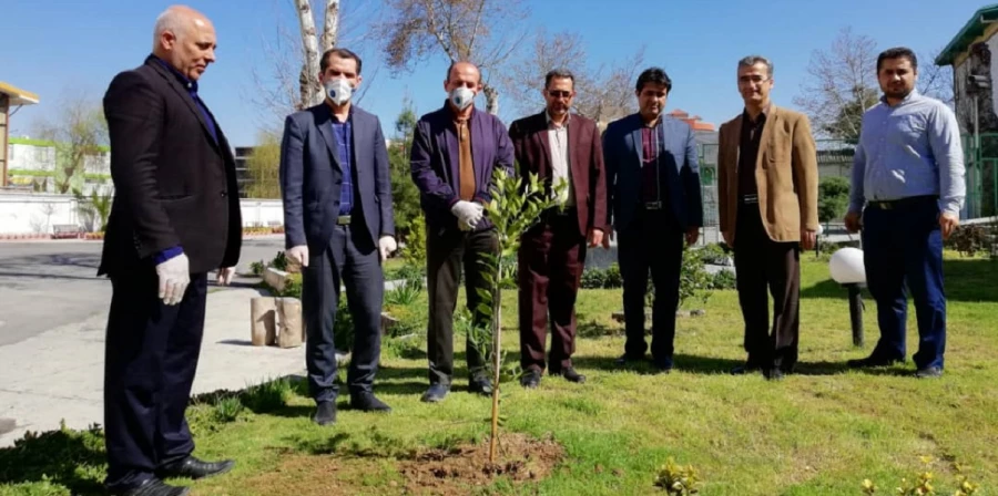 درختکاری را تنها در روز درختکاری خلاصه نکنیم 2