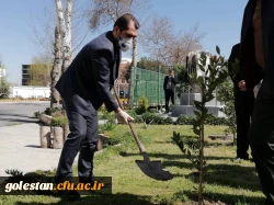 درختکاری را تنها در روز درختکاری خلاصه نکنیم 3