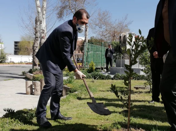 درختکاری را تنها در روز درختکاری خلاصه نکنیم 3