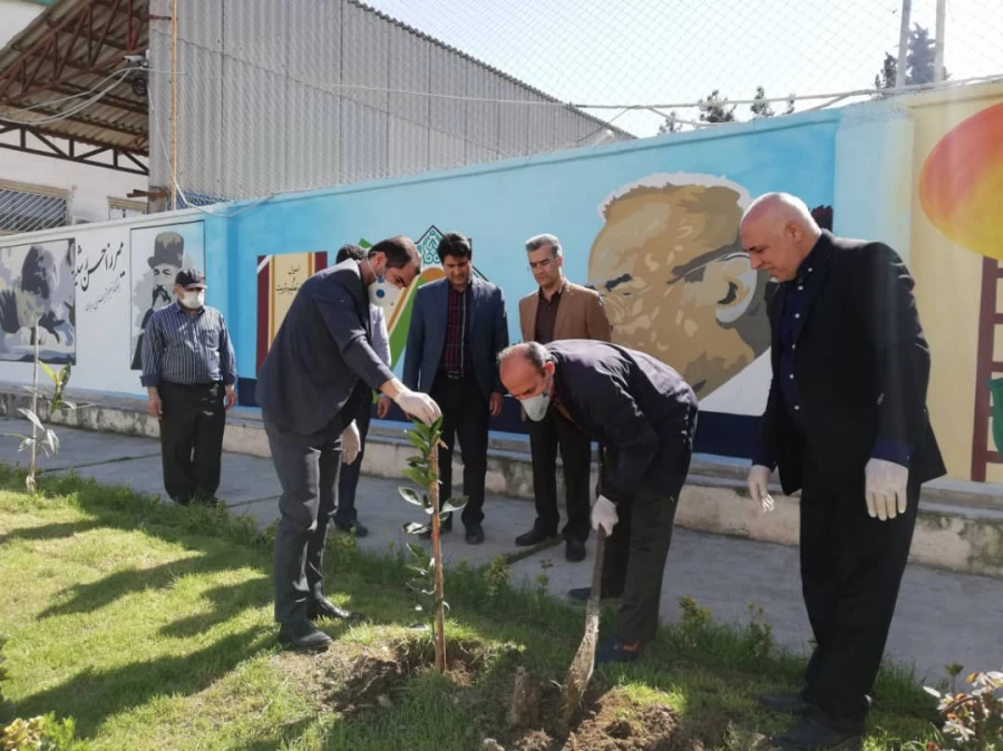 درختکاری را تنها در روز درختکاری خلاصه نکنیم 4