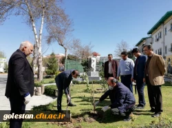 درختکاری را تنها در روز درختکاری خلاصه نکنیم 5