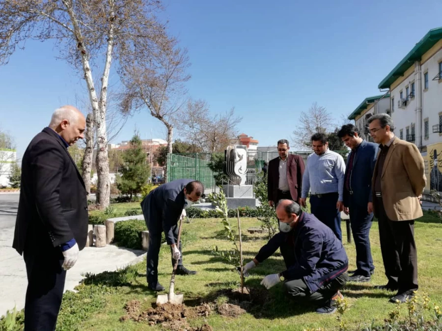 درختکاری را تنها در روز درختکاری خلاصه نکنیم 5