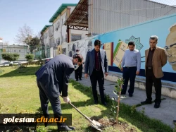 درختکاری را تنها در روز درختکاری خلاصه نکنیم 6