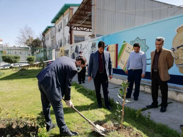 درختکاری را تنها در روز درختکاری خلاصه نکنیم 6