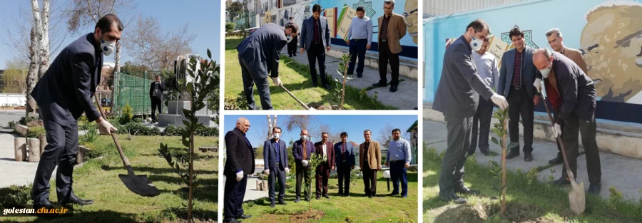 درختکاری را تنها در روز درختکاری خلاصه نکنیم 7