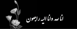 پیام تسلیت دکتر مازندرانی در پی درگذشت استاد گرانقدر مرتض شهمردای 2