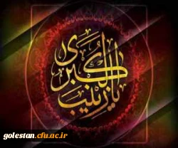 ارتحال اسوه صبر و استقامت قهرمان کربلا حضرت زینب کبری تسلیت باد 2