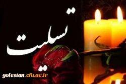 جناب آقای دکتر علی اکبرقندهاری معاونت دانشگاه فرهنگیان استان گلستان 2