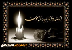 همکار گرامی سرکار خانم میرشاهی 2
