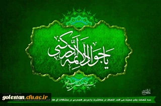 ولادت امام محمد تقی علیه السلام مبارک باد .