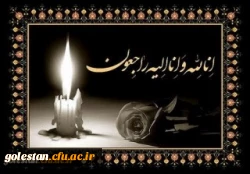 اظهار همدردی 2