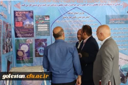 جشنواره رویش