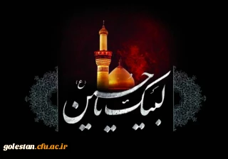 در مکتب عشق ، شاهباز است حسین             مرآت دل اهل نیاز است حسین