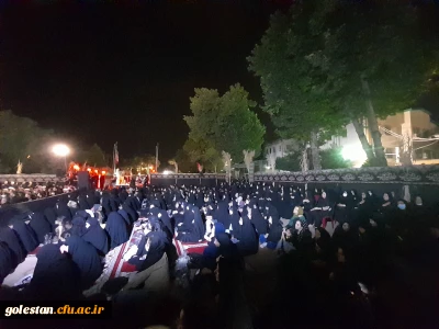 برپایی شور دلدادگی حسینی در هشتمین شب محرم 