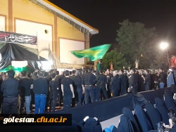 برپایی شور دلدادگی حسینی در هشتمین شب محرم  4