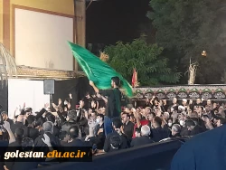 برپایی شور دلدادگی حسینی در هشتمین شب محرم  5