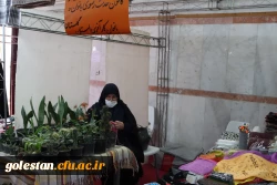 نخستین جشنواره دانشجویی اقوام دانشگاه های فرهنگیان سراسر کشور به روایت تصویر 8