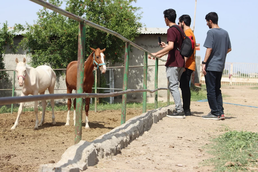 اردوی یک روزه دانشجویان پردیس آیت الله خامنه ای به ترکمن صحرا 8