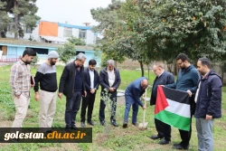 روز درختکاری