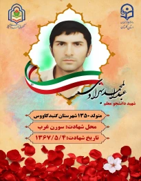 عبدالمحمد بهزادی