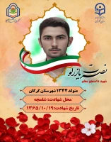 نصرت یازرلو