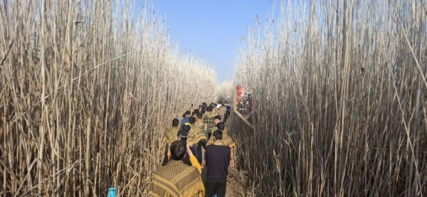 اعزام دانشجومعلمان گلستانی به اردوی راهیان نور؛ سفر به سرزمین نور و شهادت 2