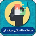 سامانه بالندگی حرفه ای 